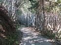 resize0068