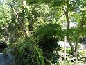 resize0082