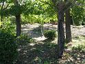 resize0084