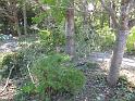 resize0085