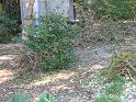 resize0089