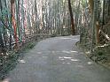 resize0095