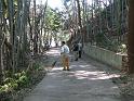 resize0096